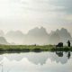 栖蟾