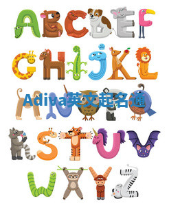 Adiva英文起名通 Adiva英文起名通