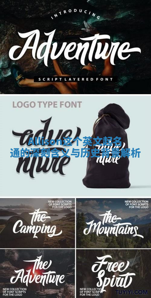 Allison这个英文起名通的深刻含义与历史背景解析