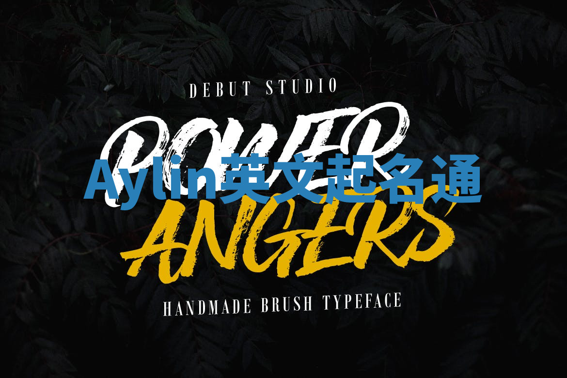 Aylin英文起名通 Aylin英文起名通