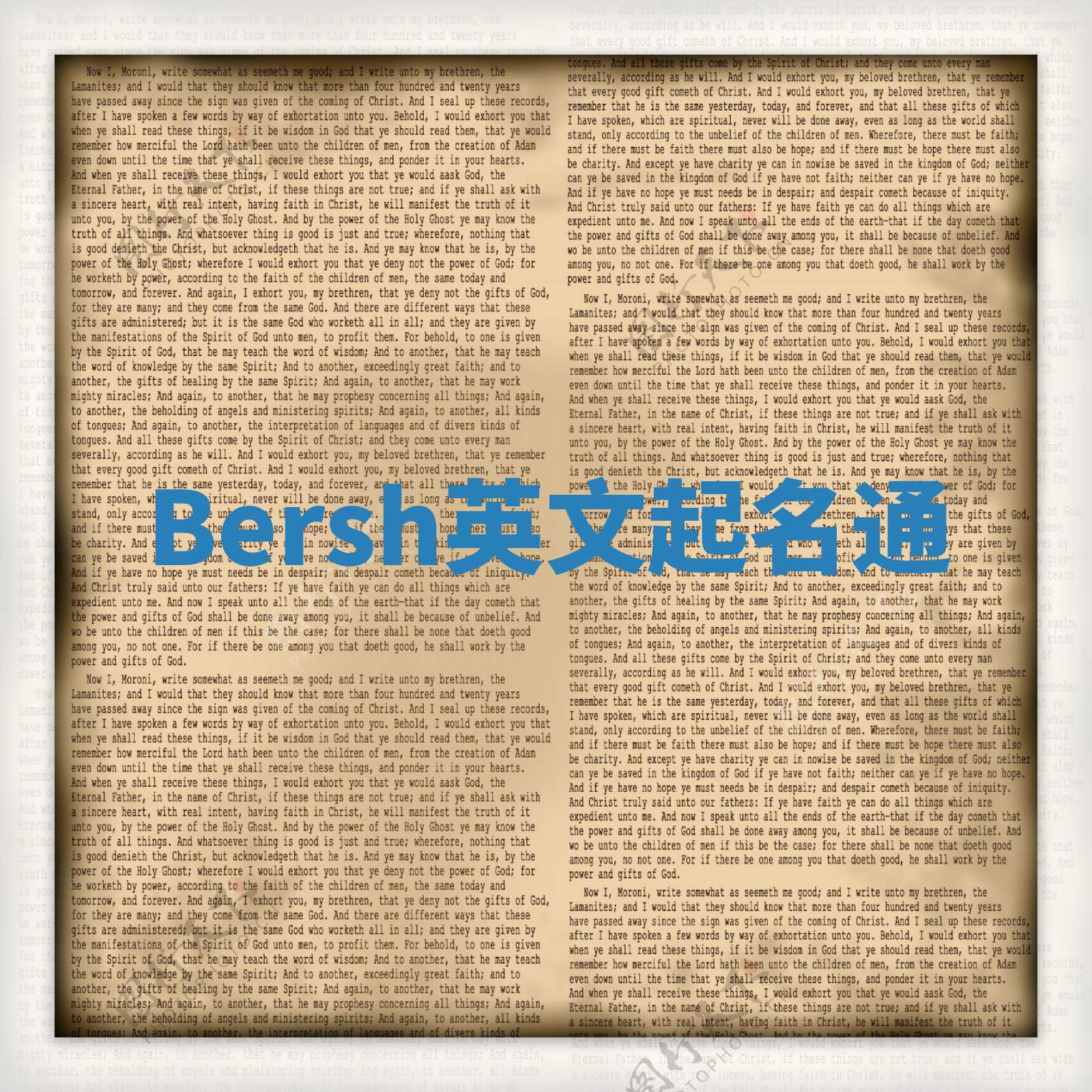 Bersh英文起名通