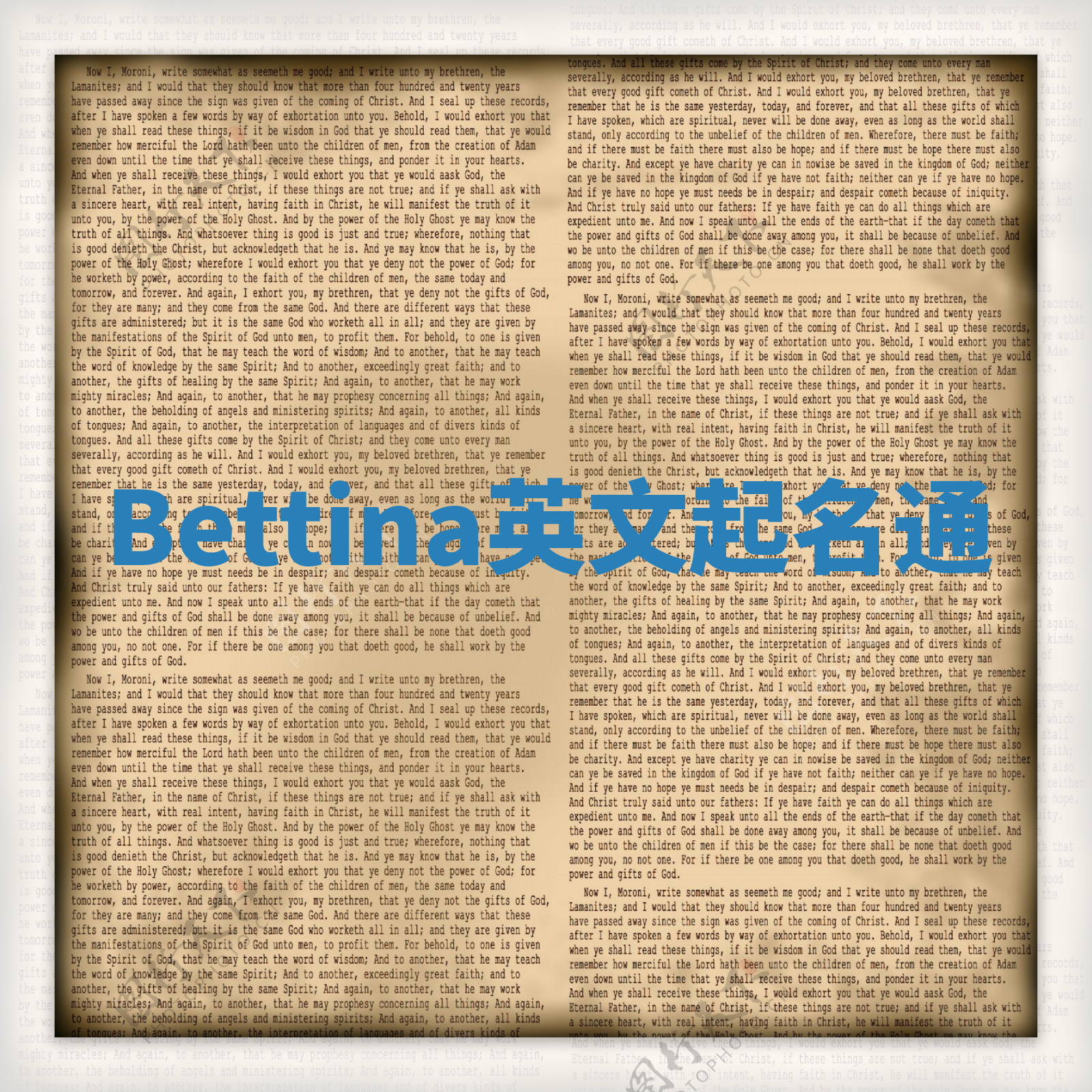 Bettina英文起名通 Bettina英文起名通