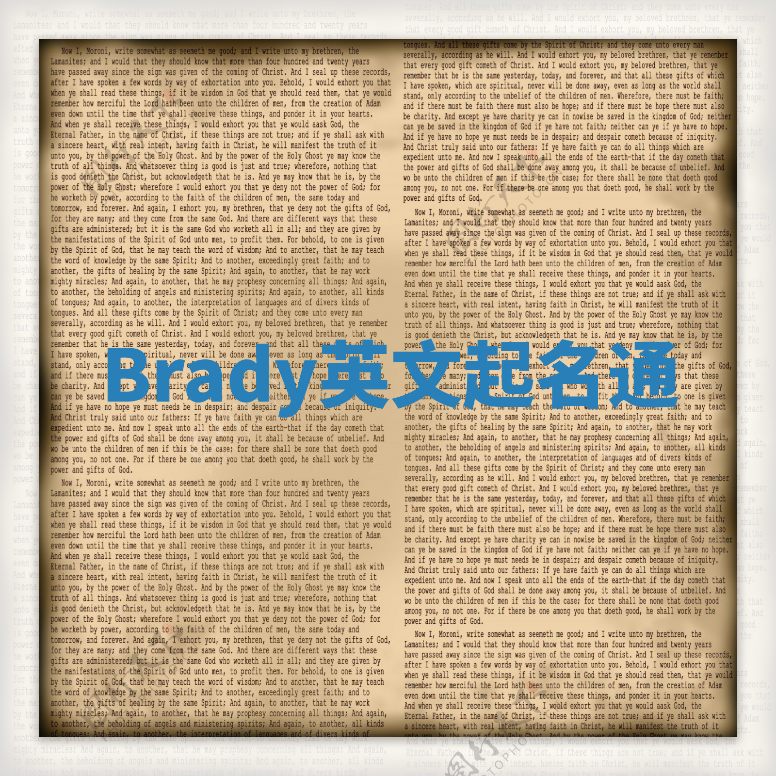 Brady英文起名通