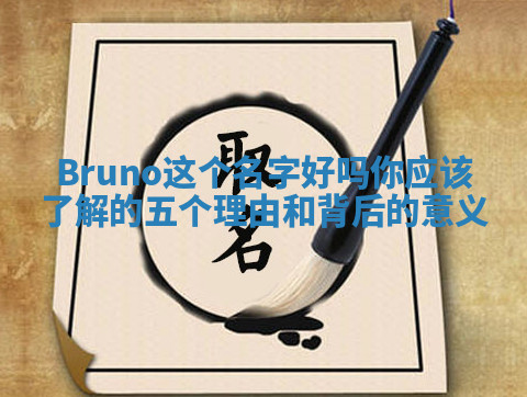 Bruno这个名字好吗 你应该了解的五个理由和背后的意义 Bruno这个名字好吗 你应该了解的五个理由和背后的意义