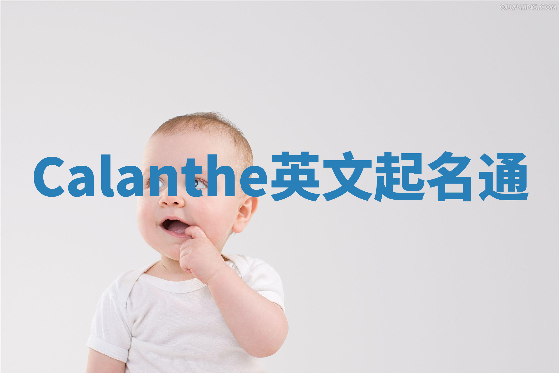 Calanthe英文起名通 Calanthe英文起名通