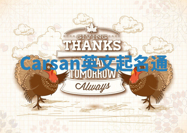 Carsan英文起名通