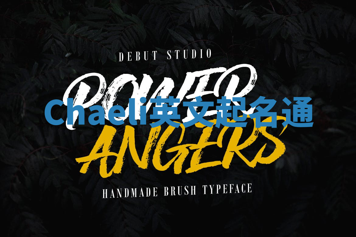 Chaeli英文起名通 Chaeli英文起名通