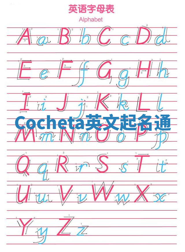 Cocheta英文起名通 Cocheta英文起名通