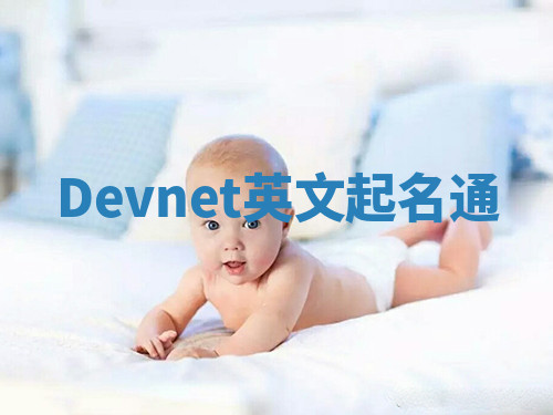Devnet英文起名通 Devnet英文起名通
