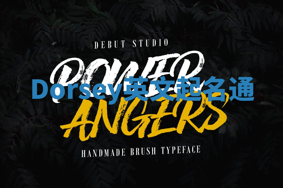 Dorsey英文起名通