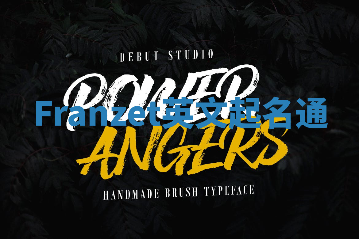 Franzet英文起名通 Franzet英文起名通