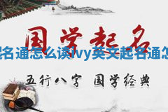 Ivy英文起名通怎么读_ivy英文起名通怎么读播放 Ivy英文起名通怎么读_ivy英文起名通怎么读播放