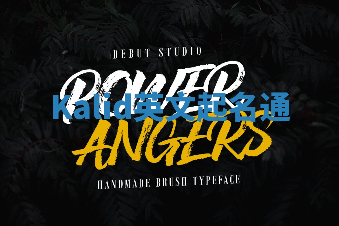 Kalid英文起名通