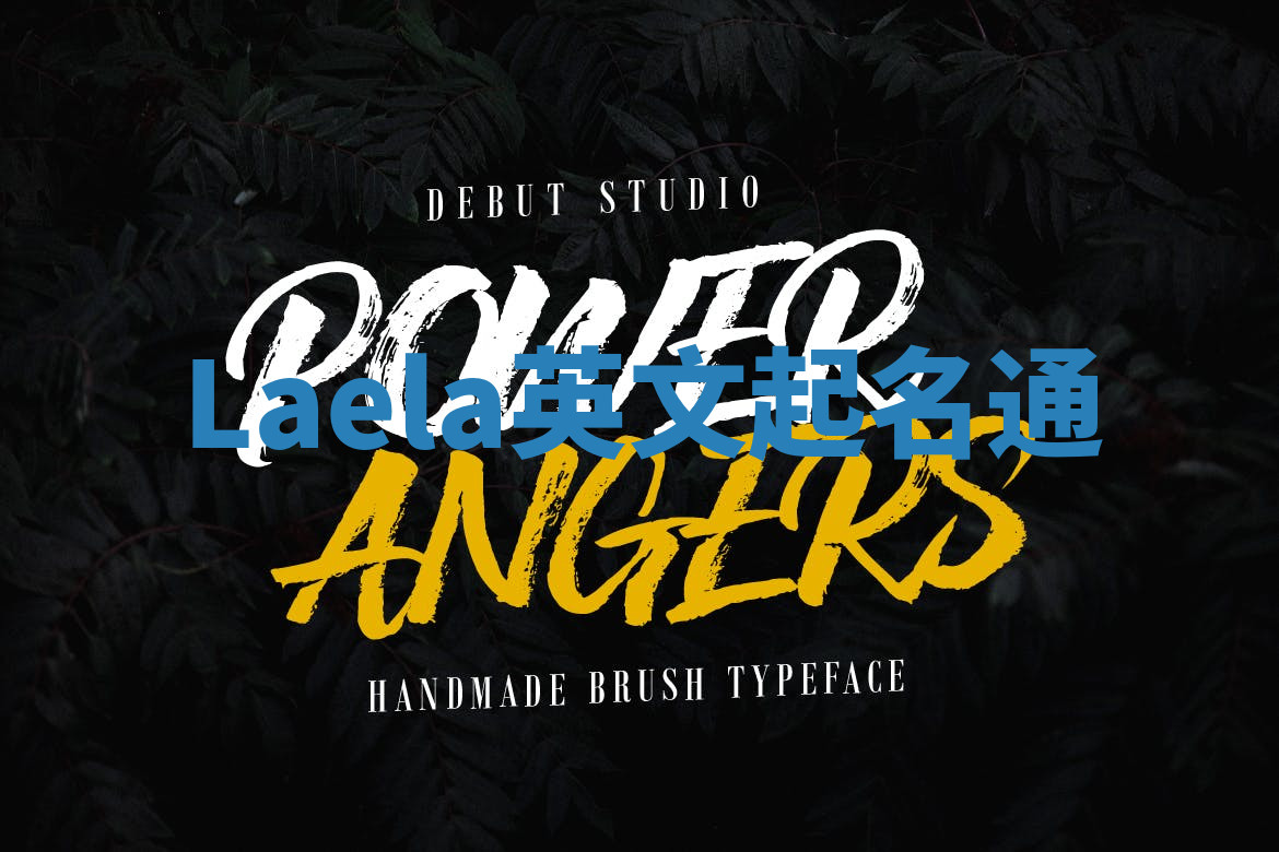 Laela英文起名通 Laela英文起名通