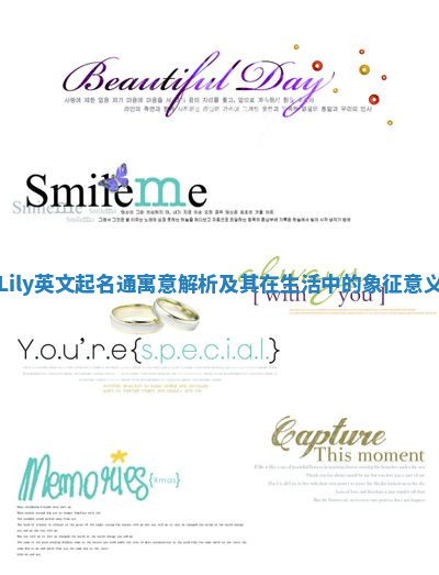 Lily英文起名通寓意解析及其在生活中的象征意义