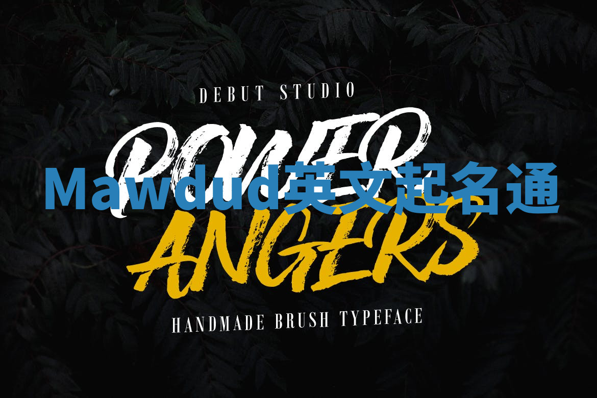 Mawdud英文起名通