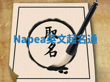 Napea英文起名通 Napea英文起名通