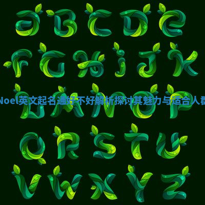Noel英文起名通好不好解析 探讨其魅力与适合人群