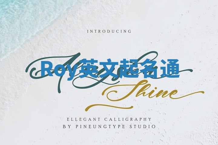 Roy英文起名通 Roy英文起名通