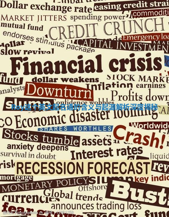 Roy这个英文起名通的含义与起源解析深度揭秘 Roy这个英文起名通的含义与起源解析深度揭秘