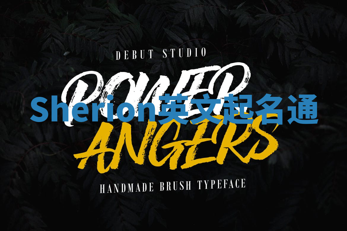 Sherion英文起名通 Sherion英文起名通