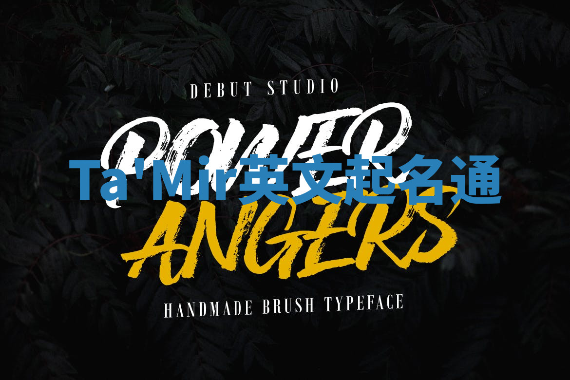 Ta'Mir英文起名通