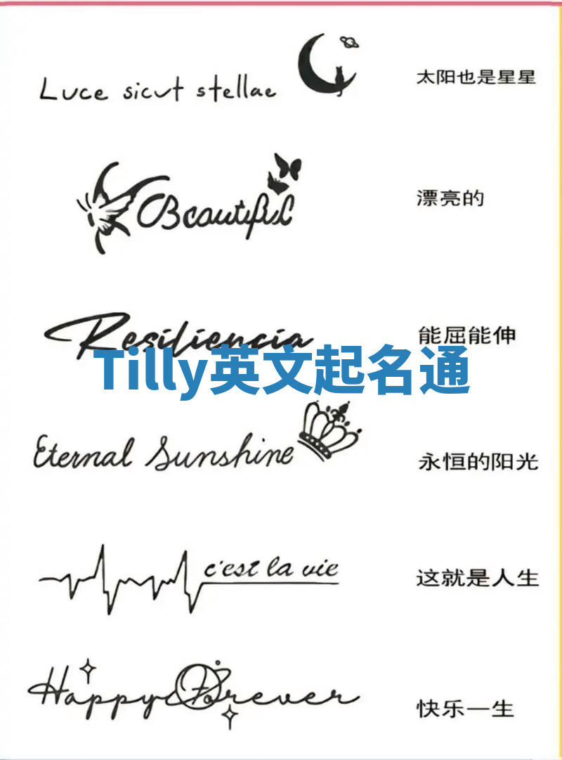Tilly英文起名通 Tilly英文起名通
