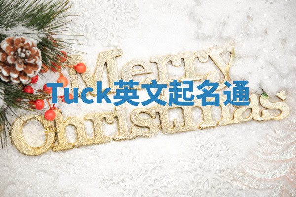 Tuck英文起名通 Tuck英文起名通