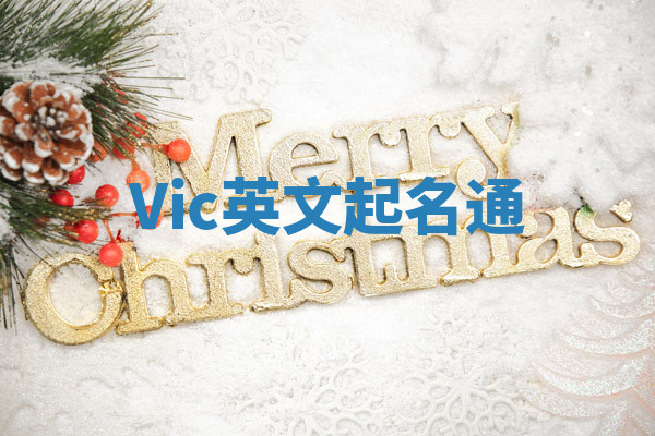 Vic英文起名通 Vic英文起名通
