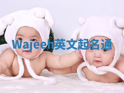 Wajeeh英文起名通