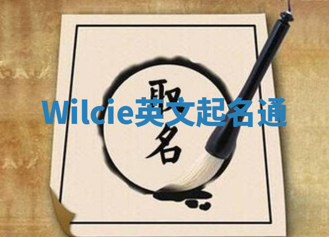 Wilcie英文起名通