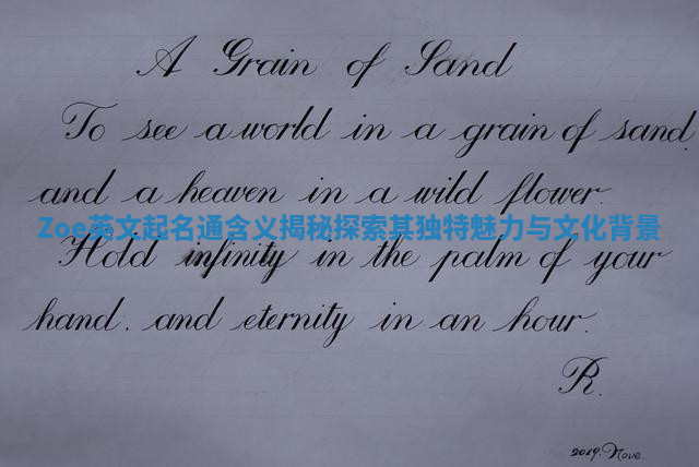 Zoe英文起名通含义揭秘探索其独特魅力与文化背景 Zoe英文起名通含义揭秘探索其独特魅力与文化背景