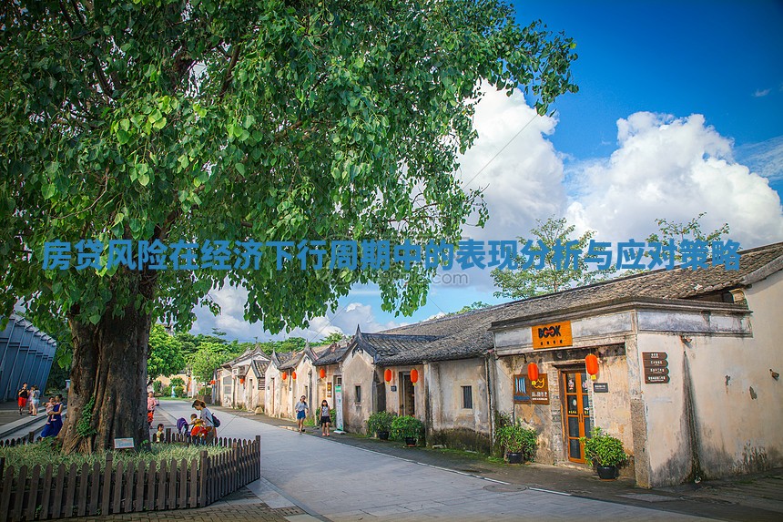 房贷风险在经济下行周期中的表现分析与应对策略