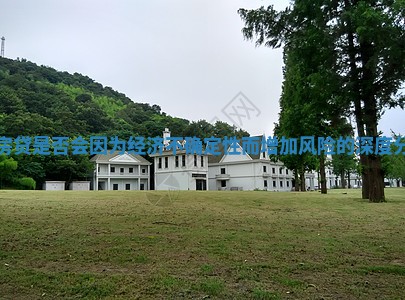 背房贷是否会因为经济不确定性而增加风险的深度分析